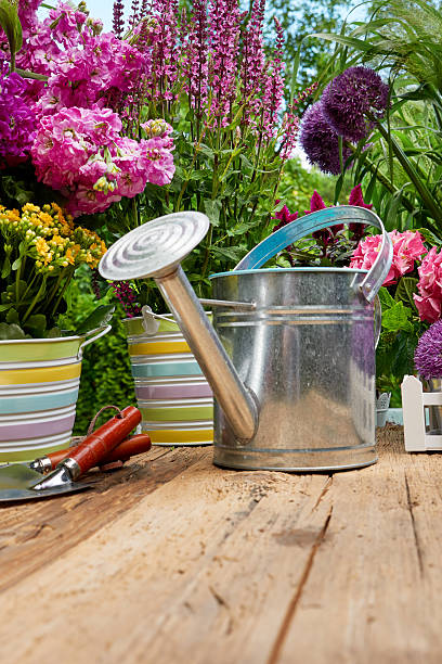 istock Outdoor gardening tools on old wood table 508664108