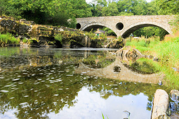 istock Cenarth Bridge in Ceredigion, Wales 508665010