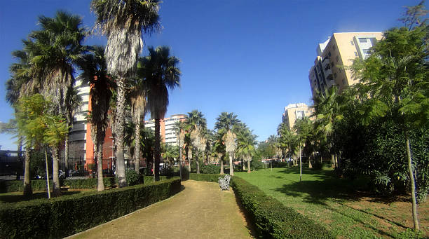 istock panoramic view of a park with buildings 508665354