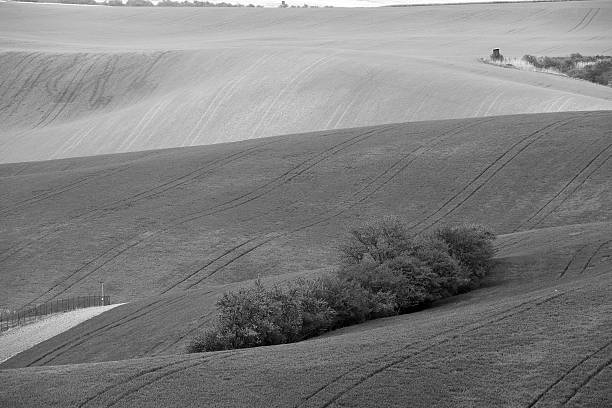 istock Arable lands in spring. Hunting box in Moravia hills. 508666516