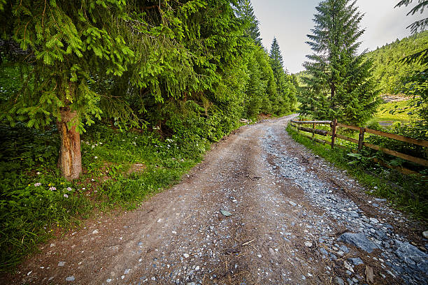 istock Countryside road in the forest 508667350