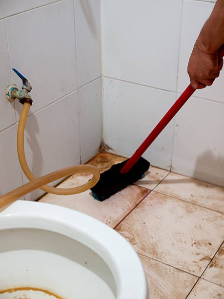 istock Cleaning toilet with a scrub brush 508668652