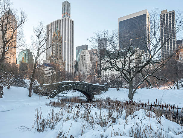 istock Gapstow bridge Central Park, New York City 508669384