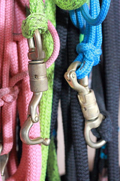 istock Colourful horse lead line ropes with quick release hooks 508669433