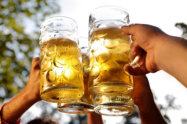 Cheers together Cheers together in a bavarian beer garden beer festival photos stock pictures, royalty-free photos & images