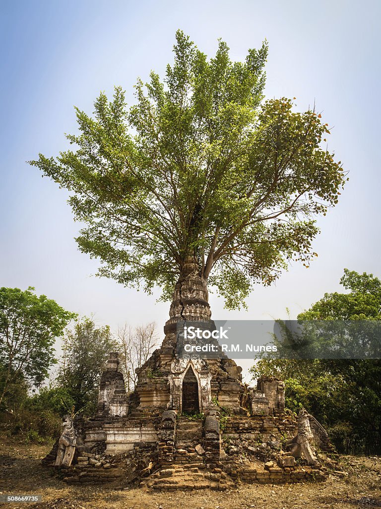 Ancient Pagoda in Little Bagan, Hsipaw, Shan State, Myanmar Ancient pagoda with tree growing out of it in Little Bagan, Hsipaw, Shan State, Myanmar (Burma). Adventure Stock Photo