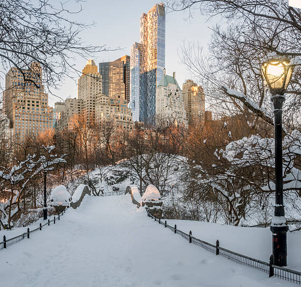 istock Gapstow bridge Central Park, New York City 508669852