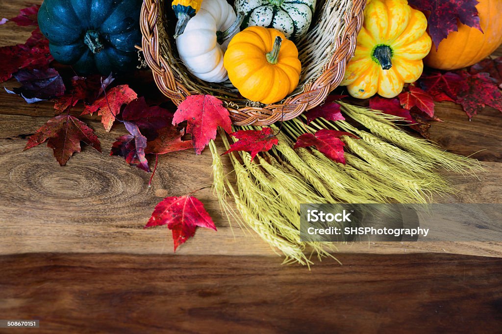 Cornucopia on Harvest Table - Partial A cornucopia with squash, gourds, pumpkins, wheat and leaves on an old antique harvest  table.  Room for copy space. Abundance Stock Photo