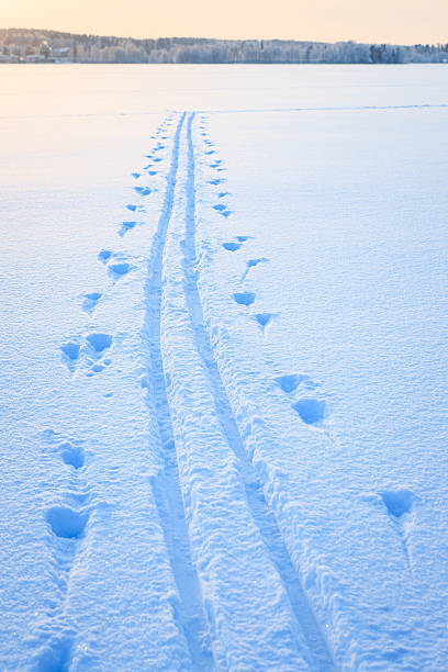 istock Ski tracks snow lake 508670246