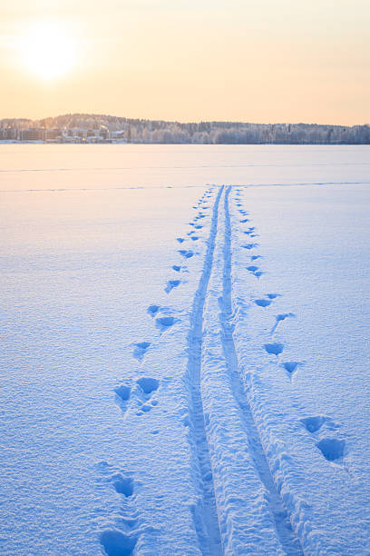 istock Ski tracks snow lake 508670266