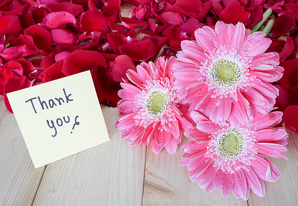 istock Thank you 1 508670660