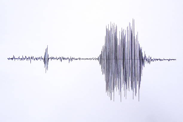 지진계 - seismograph seismic earthquake quake 뉴스 사진 이미지