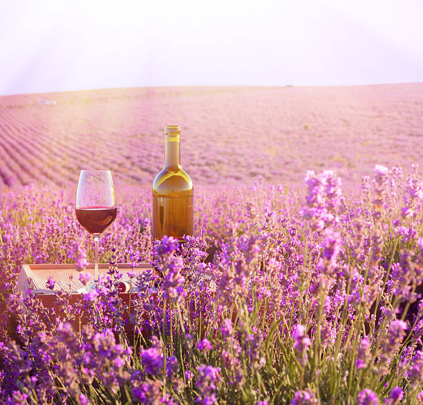 istock Bottle of wine. 508672161