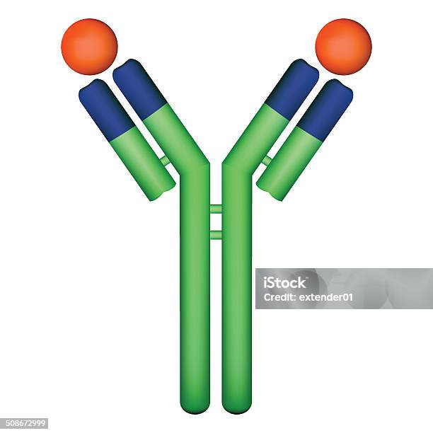 Molecola Con Anticorpi Antiantigene - Immagini vettoriali stock e altre immagini di Anticorpo - Anticorpo, Molecola, Antigene