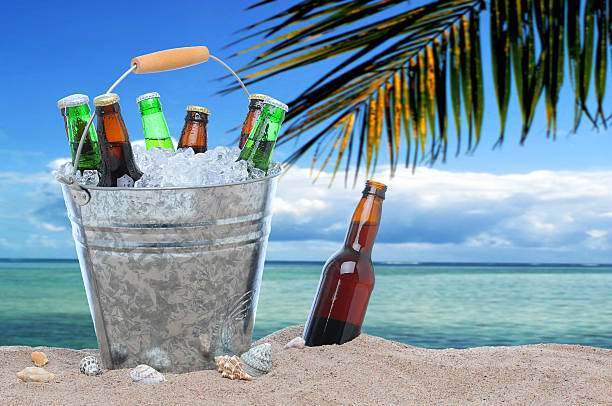 istock Assorted beer bottles and ice bucket in the sand 508673303