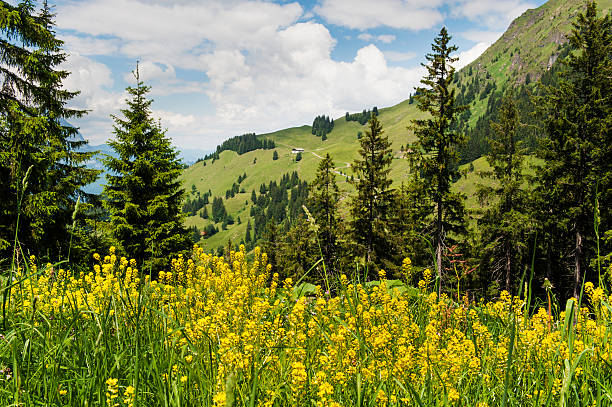 istock Kitzbuheler Horn in Kitzbuhel, Austria 508675069