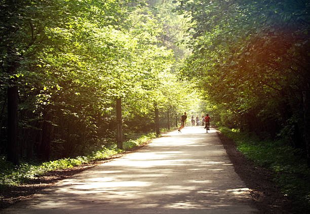 Sunny alley in the park, summer day, people walking, skateboarding and bike