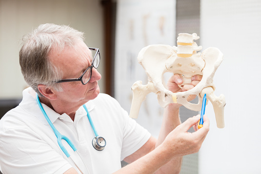 A male doctor, pointing at the plastic model of a human hip joint. XXXL size image.