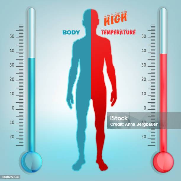 Vector Body Temperature Stock Illustration - Download Image Now - Abstract, Animal  Body Part, Animal Skin - iStock