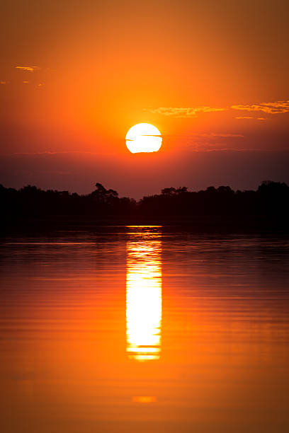 istock African sunset over the Okavango delta. 508699118