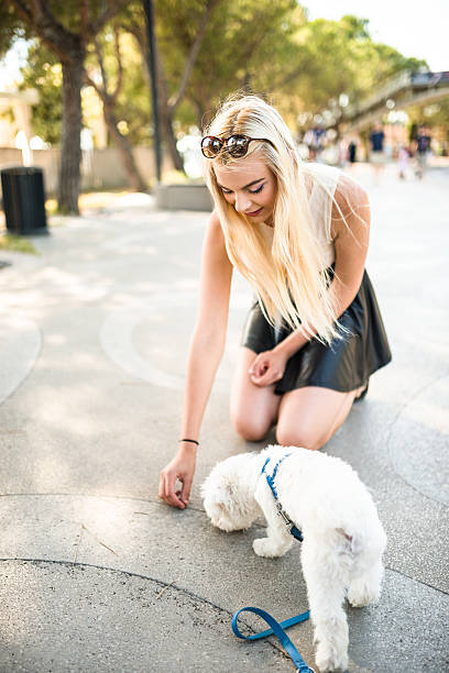 istock woman feeding the dog 508699808