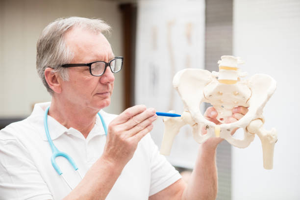 istock Doctor pointing at hip joint 508700244