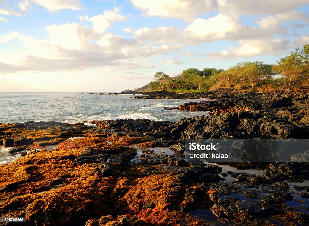 Maui Coastline The coastline in Wailea, South Maui in Hawaii, with lava rock and gentle waves, and tropical vegetation. Coastline Stock Photo