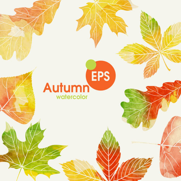 Autumn Background With Leaves vector art illustration