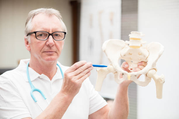 istock Doctor pointing at hip joint 508701258