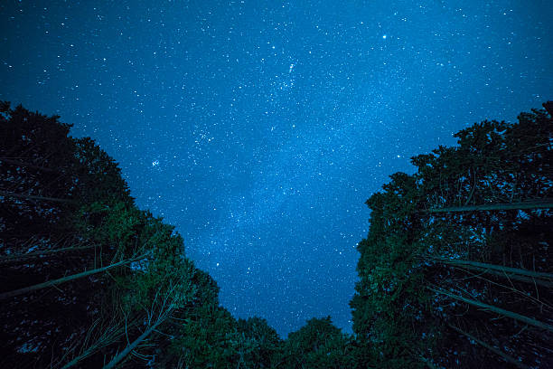 istock Milky Way above silhouetted trees 508701460