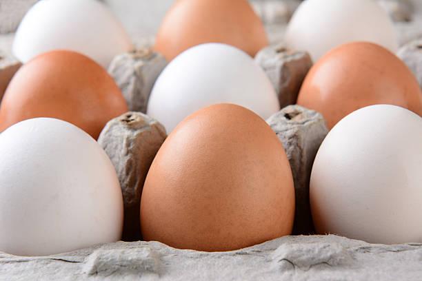 istock Closeup of Eggs in Cardboard Carton 508701533