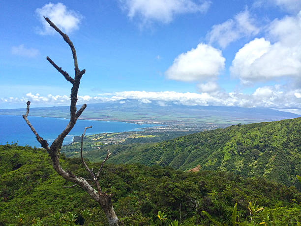 istock Kihei and the West Maui mountains 508702316