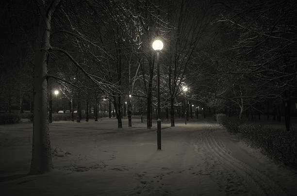 istock Winter evening in the city. 508702504