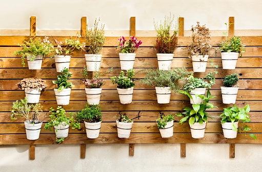 Flower pots hanging in a wall. Decor mount done with recycled wood pallets.