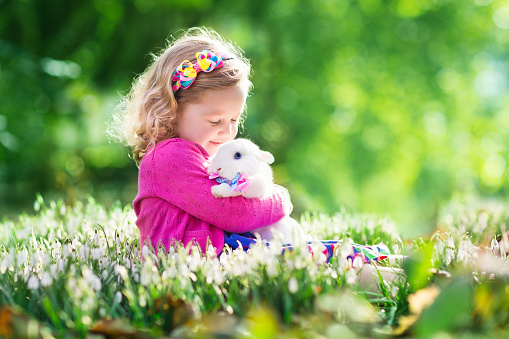 Cute toddler girl playing with real rabbit in blooming spring garden. Child on Easter egg hunt. Kid with colorful eggs and pet bunny. Kids play with pets. Children feeding animal. Family with animals.