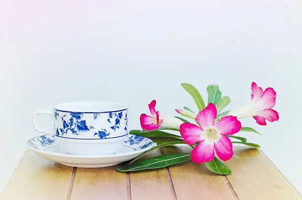 Coffee cup and Desert Rose on wood table with blur color filter
