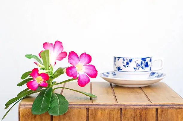 Coffee cup and Desert Rose on wood table