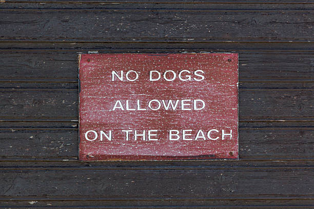 istock No Dogs Allowed on the Beach 508703900