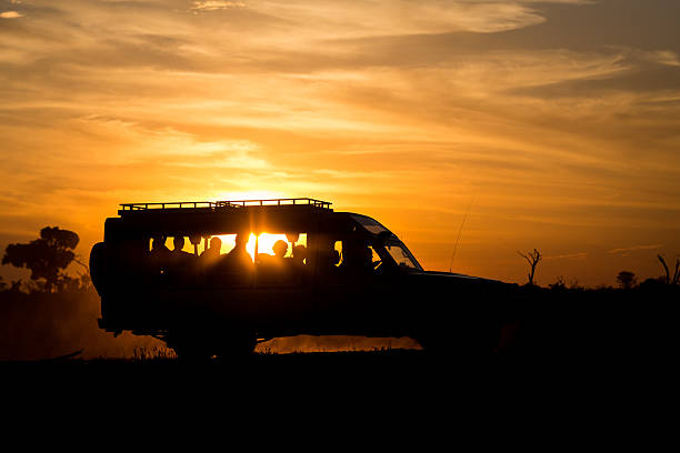 istock Safari car in sunset light 508704150
