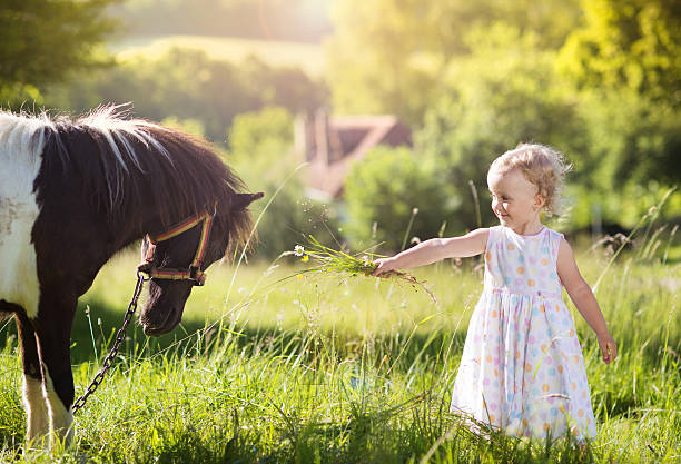 маленькая девочка с пони в природе - horse child pony little girls стоковые фото и изображения