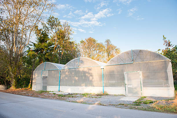 istock The greenhouse with cloudy blue sky. 508706398