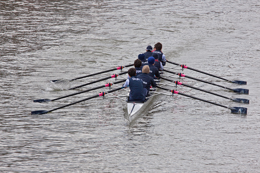Bristol, England - February 19, 2012: Crew from Oxford pulling in harmony during the annual Head of the River race through the city docks entered by one hundred teams 
