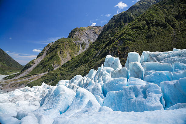 Blue ice of Fox Glacier in New Zealand Lower part of Fox Glacier at New Zealand's South Island a major tourist attraction and one of the most accessible glaciers in the world fox glacier photos stock pictures, royalty-free photos & images