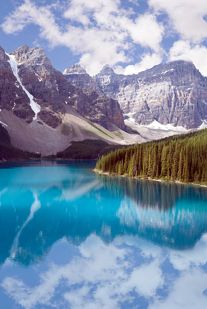 istock Turquoise water and pine trees at Moraine Lake 508708066