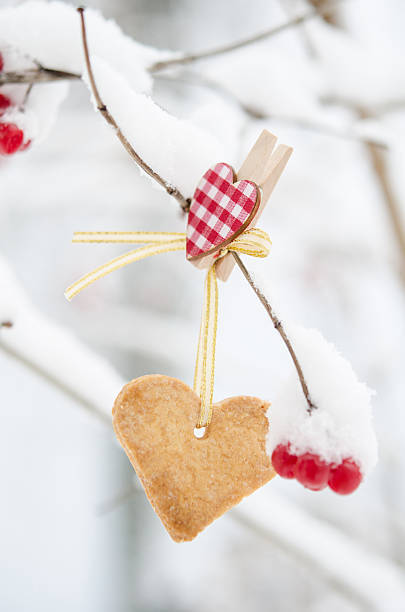 istock Snow-covered branch decorated with Heart-shaped cookie. 508709816