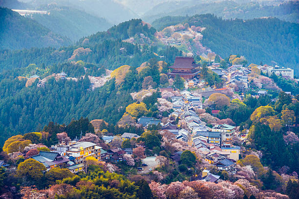 yoshinoyama, japon - préfecture de nara photos et images de collection