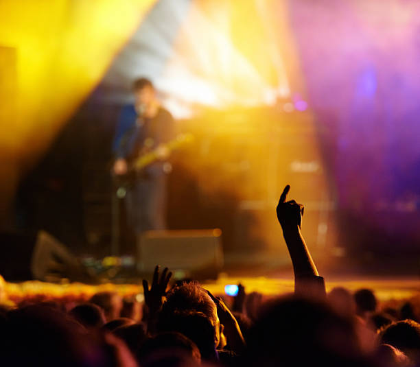 istock Both band and crowd feel the energy! 508725219
