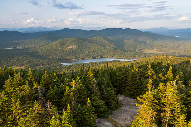 istock East View from Blue Mountain Fire Tower 508725453
