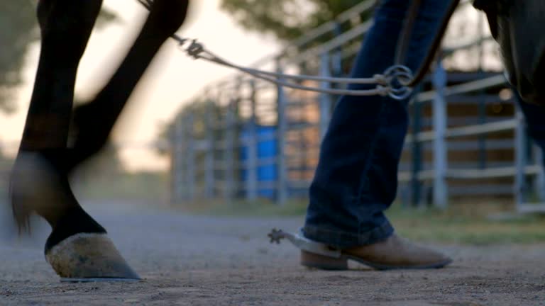 Low Angle of Rancher Walking Horse