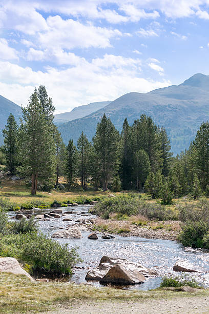 istock River in Yosemite runs through trees and over rocks 508726485